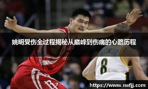 星空综合·(中国)官方网站